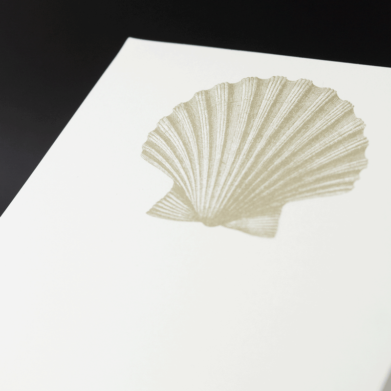 Shell Notepad