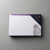 Owl Notecards