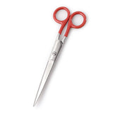 Stainless Scissors